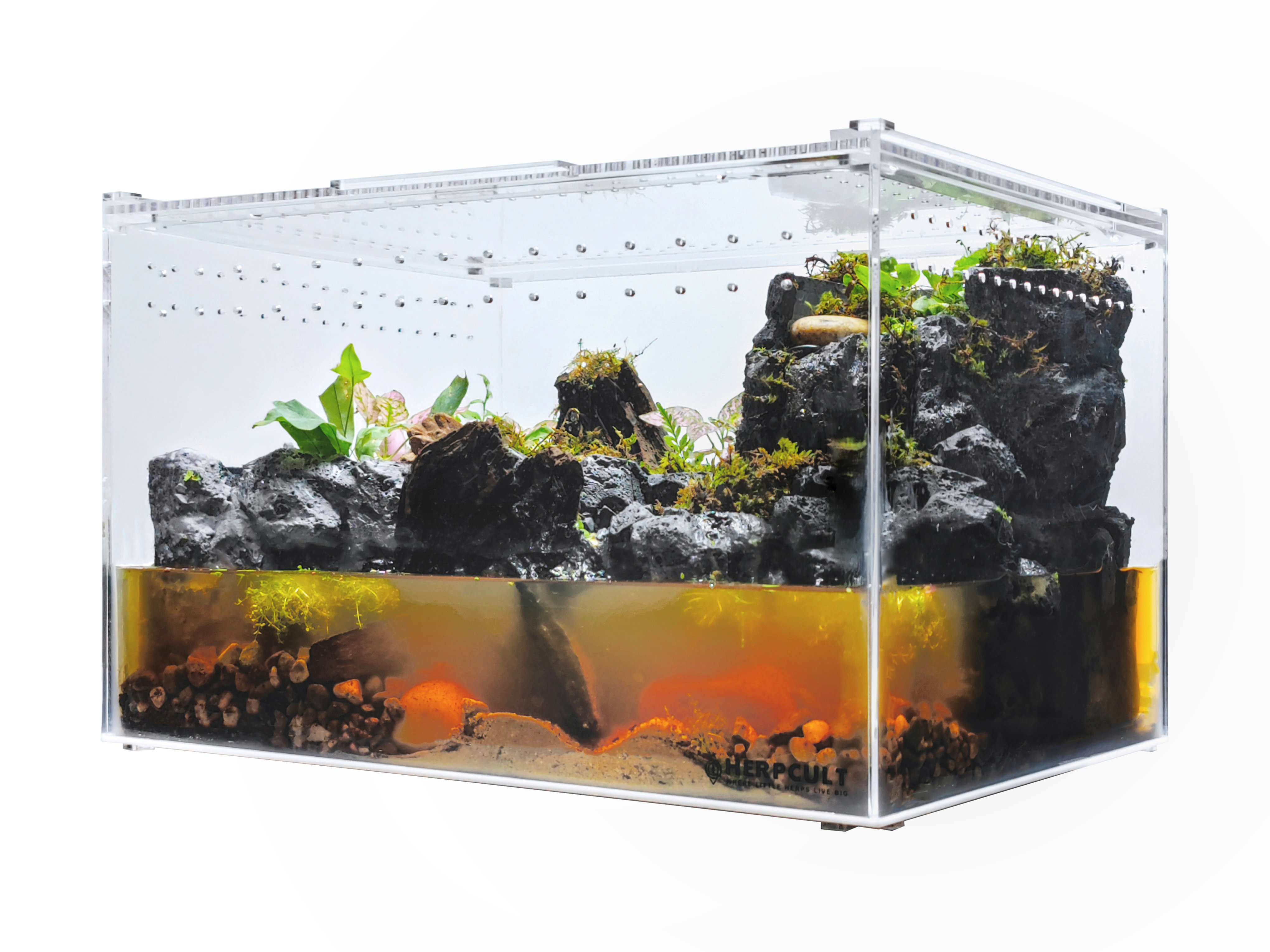 HerpCult Acrylic Enclosure | Wayfair