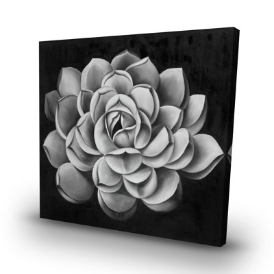 succulent - 32"x32" art on canvas