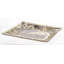 Saltsburg Glass Tray