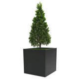 Raemond Metal Planter Box