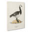 Barnacle Goose by Von Wright - Wrapped Canvas Painting-55311801