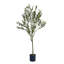 Aarav Faux Olive Tree Tree in Pot-419188840