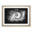 Spiral Staircase - Picture Frame Graphic Art-56876775-56876774
