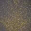 Birch Tree with Warm White LED Lights-63383338-63383335