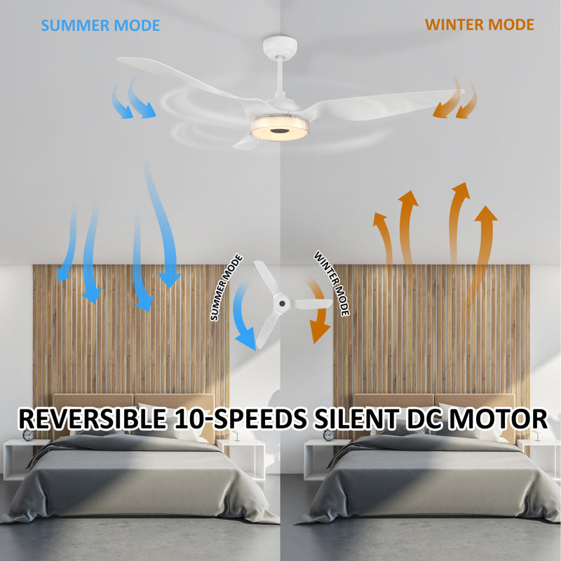 Aroz 60'' Ceiling Fan with LED Lights, White
