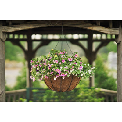 Hanging Planter
