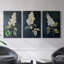 Floral Study Series LIX - ensemble de toiles tendues avec châssis Premium - prêt à être accroché-805216628