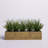 12" Tall Floor Foliage Grass in Pot