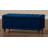 Mirdza Upholstered Ottoman-2135208326