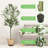 72'' Faux Olive Tree Tree in Pot