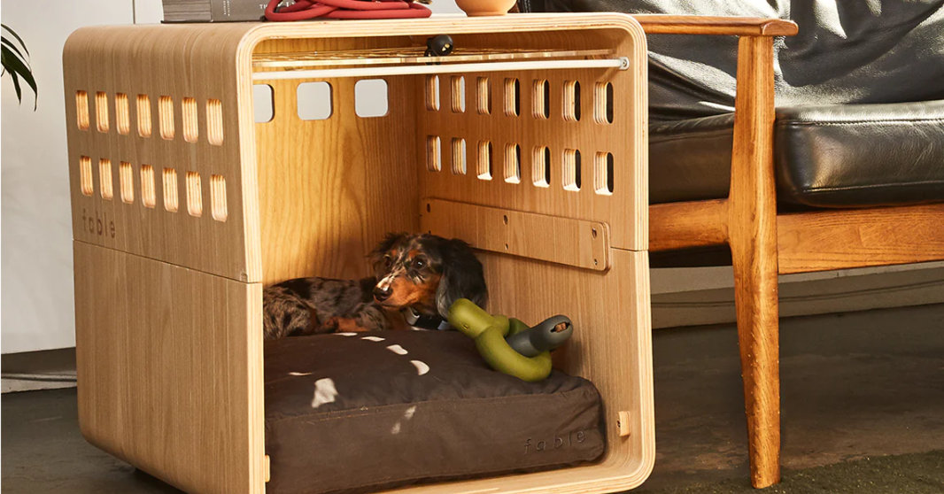 The Best Tool for Your Pet