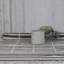 Pot de fleurs en ciment Raynor
