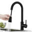 Belfry Kitchen Larsen Pull Out Kitchen Faucet