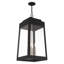 Lanterne suspendue d'extérieur noire H 30,75 po Antionetta