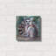 «Ring Tailed Lemur» par Robert Campbell, art mural en métal-1056932928