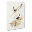 Cautious Wren by Elizabeth Gould - Wrapped Canvas Painting-55370558