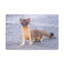 Art mural majestueux belette-1708865622