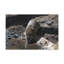 No Frame Print on Canvas-100038578