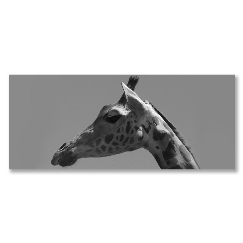 Giraffe Profile Print, Metal