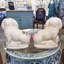 Porcelain Bunny Figurines Pair