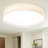 Ledja 20 inch Flush Mount Ceiling Light Dimmable