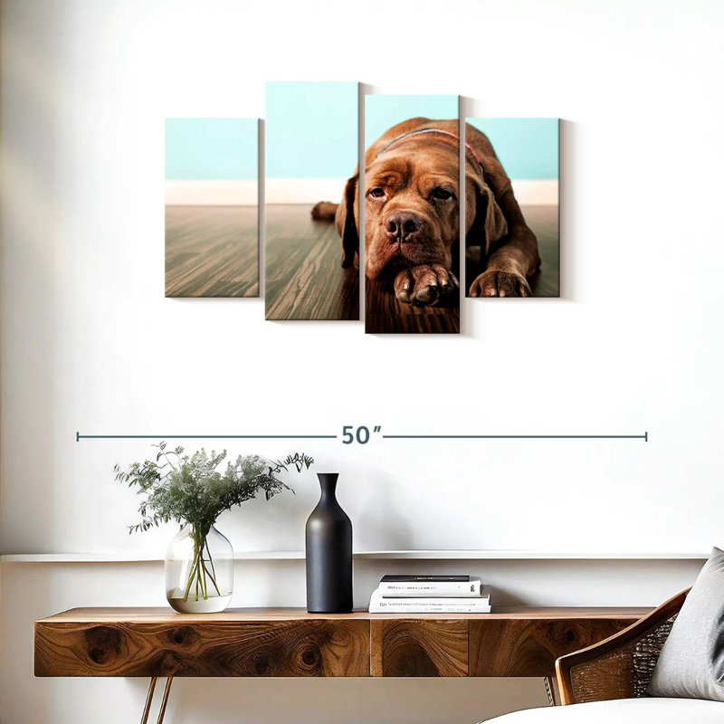 Brampt Bored French Mastiff Dog