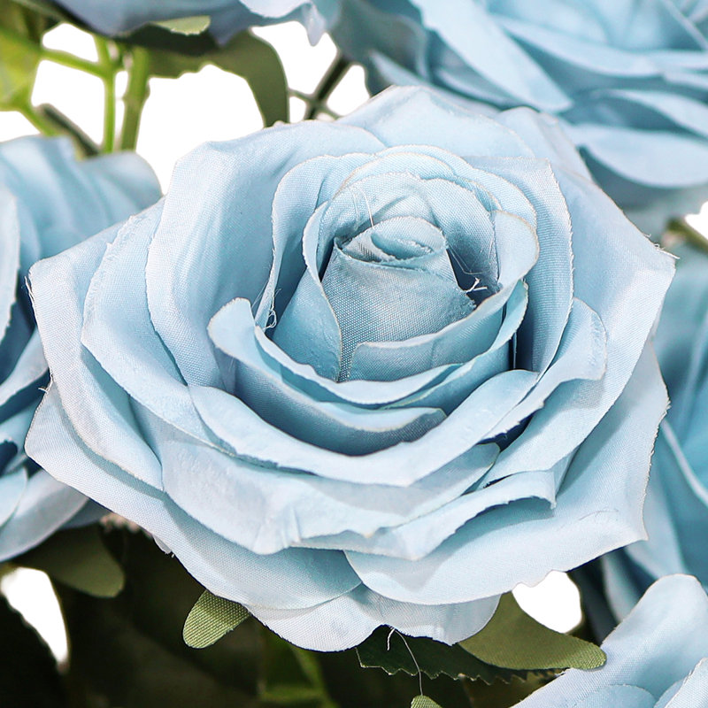 Grand rosier Jaafer Deluxe, Bleu ciel
