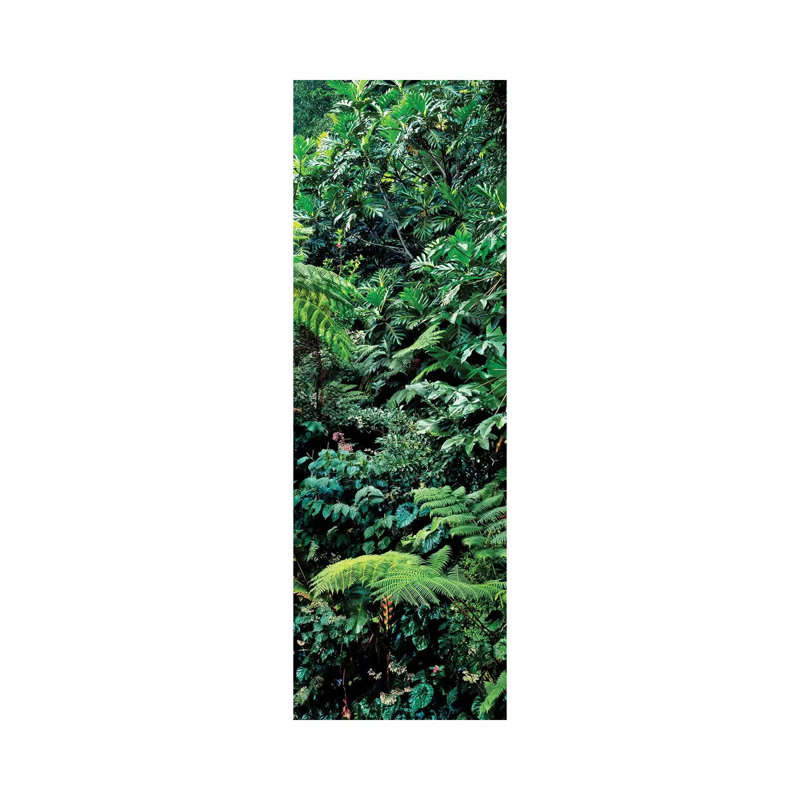 View Of Rainforest, Papillote Wilderness Retreat And Nature Sanctuary, Dominica, Caribbean III - Wrapped Canvas Panoramic Print