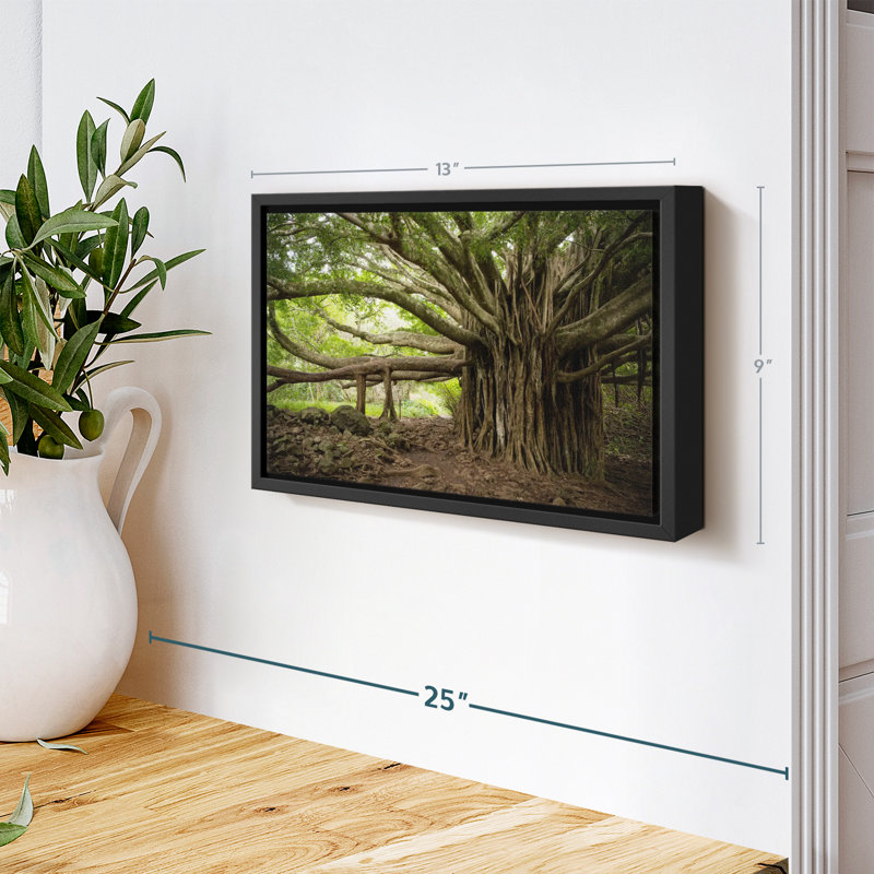 Impression sur toile Banyan Tree, H 9 po x l 13 po