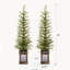 Ensemble de 2 décorations de Noël artificielles préilluminées de 120 cm avec support en polyéthylène et pot.