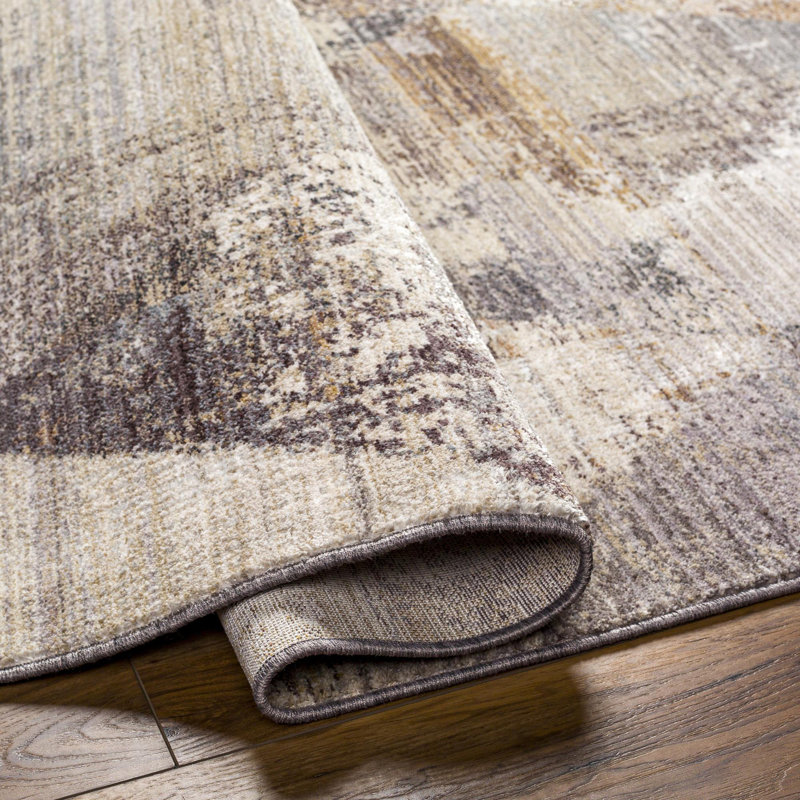 Anibella Abstract Indoor Rug, Rectangle 2'7" x 4'11"
