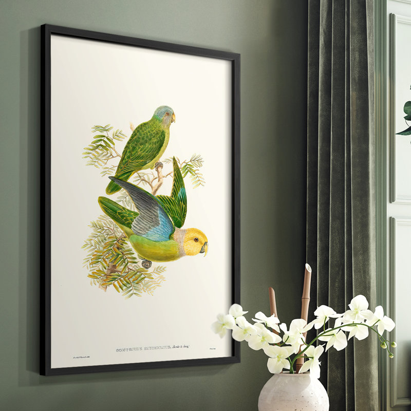 «Lime & Cerulean Parrots I», reproduction encadrée - bois massif, Noir, H 10 po x l 8 po