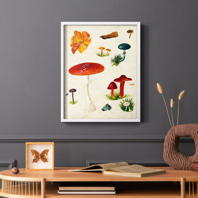 Reproduction encadrée champignon Mushroom Species