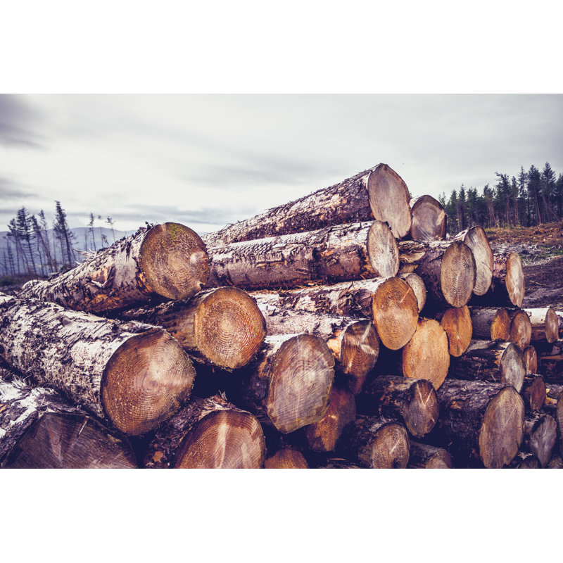 Panela Logs Against A Gloomy Sky On Canvas par Lolostock, photographie, L 12 po x H 8 po