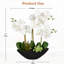 Rozbeh Fabric Arrangement