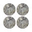 Arcadia Chettah Vegan Leather Round Coasters