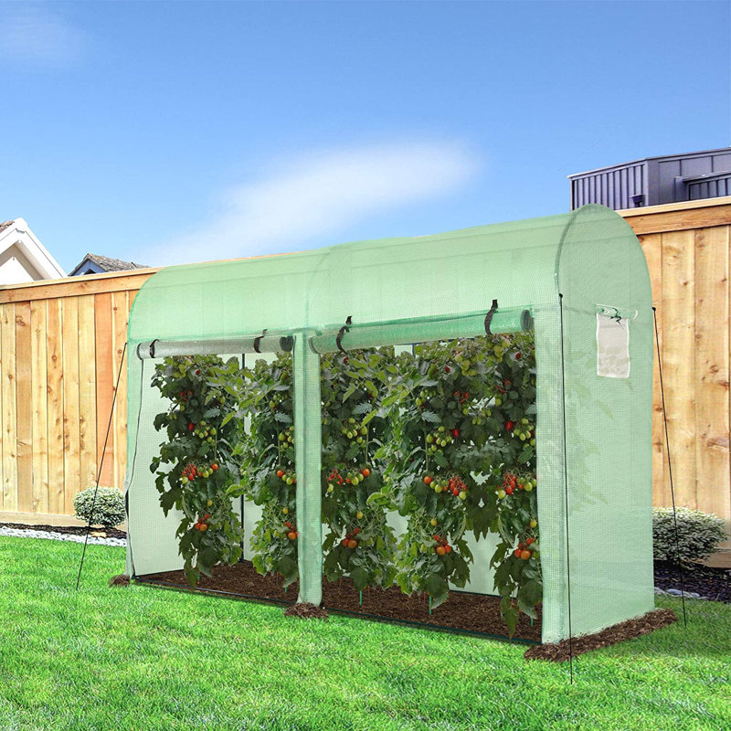 Nothills 9 Ft W x 3 Ft D Greenhouse