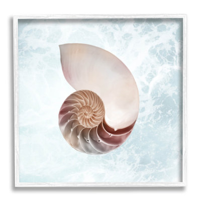 Aquarelle, Nautilus, spirale, coquillage, estampe numérique par Marcus Prime