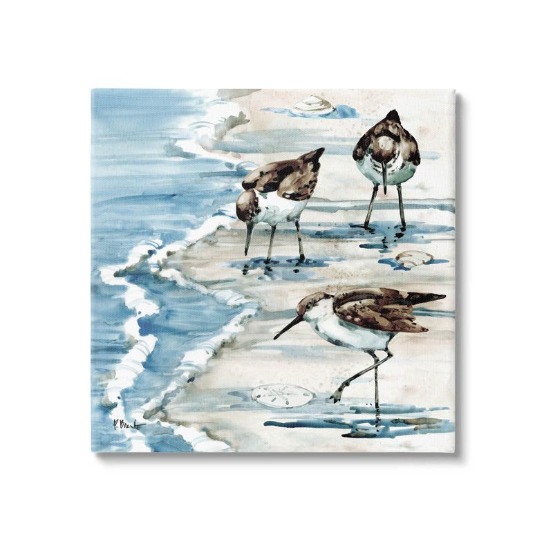 «Rockhampton Sandpipers Beach Grazing» par Paul Brent - peinture sur toile tendue, H 17 po x l 17 po x P 1,5 po