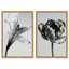 Peeking Flowers Set High-Gloss Frameless Acrylic Glass Wall Art Floral & Botanical Print by Oliver Gal, Ready to Hang, 10 x 15-819103874-819103876