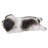 Shih Tzu Puppy Sleeping Statue