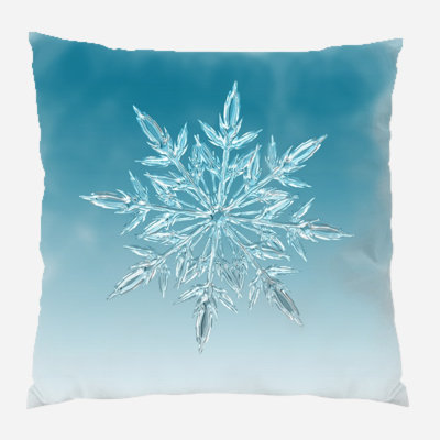 Canvas Outdoor Reversible Throw Pillow