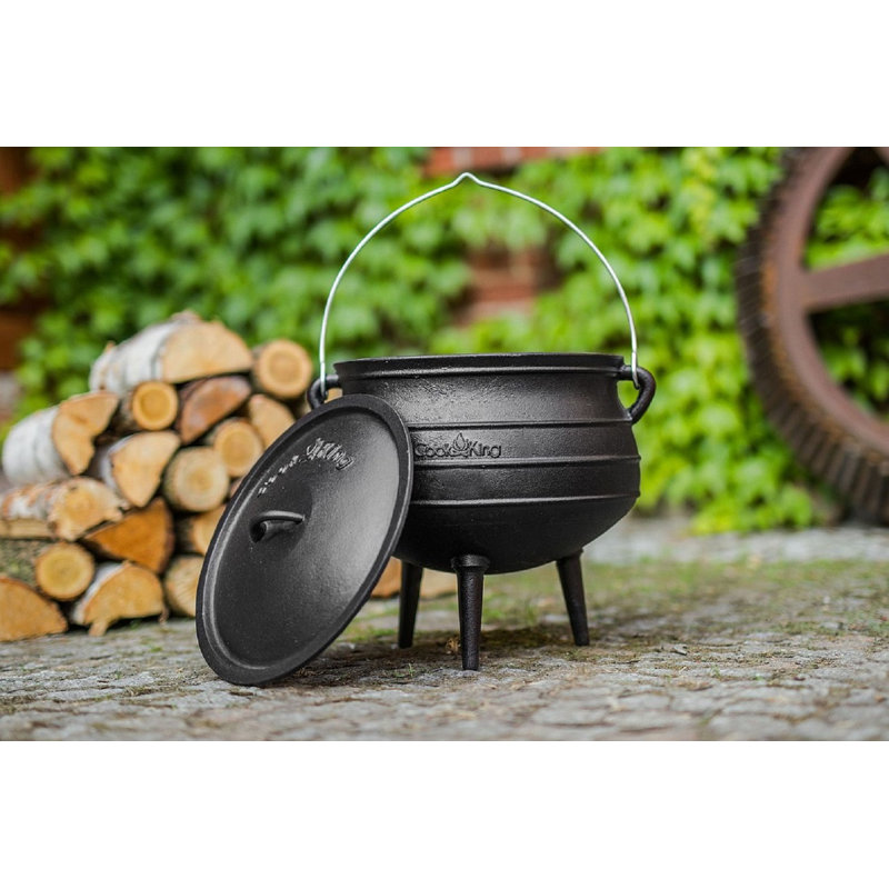 Rosalind Wheeler Aarica Cast Iron Standard Pot