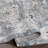 Rishel Oriental Indoor Rug-1749036531