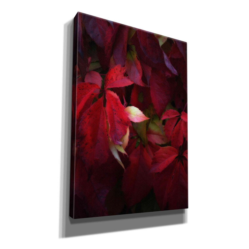 «Red Velvet» par Philippe Sainte-Laudy, art mural sur toile, H 26 po x l 18 po x P 0,75 po