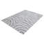 Zebra Animal Print Hand Woven 200cm X 300cm Area Rug