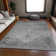 Premium Machine Washable Fehr Gray Rug
