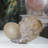 Figurines & Sculptures