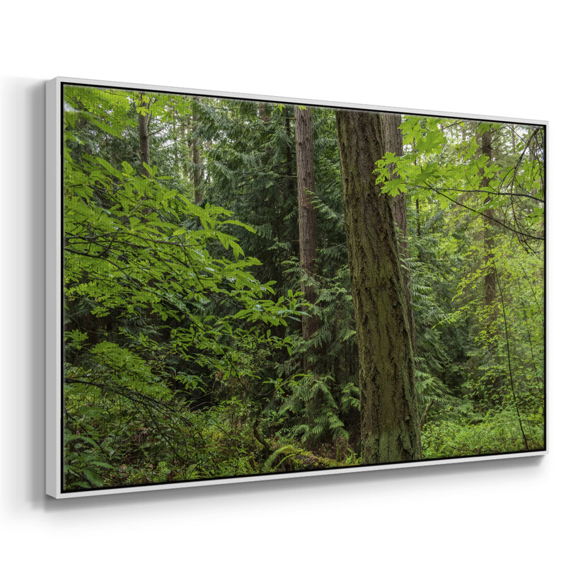 Calm of the Forest, reproduction d'art sur toile, H 17 po x l 25 po x P 2 po, Blanc