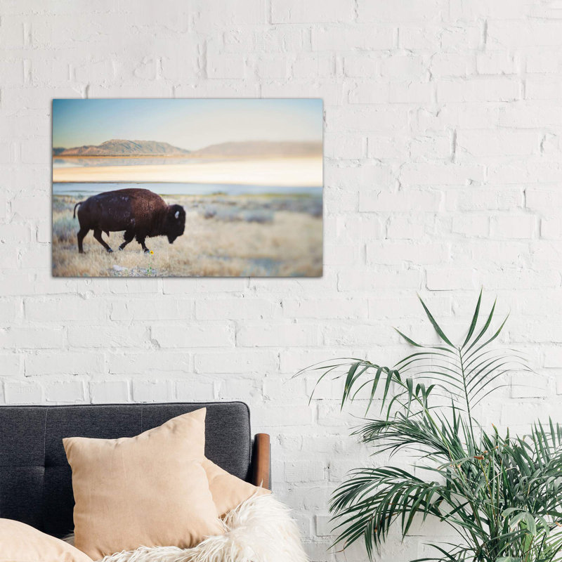 The Anonymous Buffalo by Chelsea Victoria - Print on Canvas, Wrapped Canvas, 20.32 cm H x 30.48 cm W